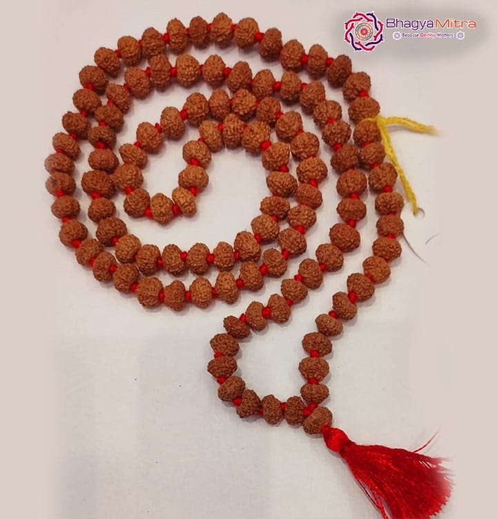 10 Face Rudrakash Mala 108 Beads